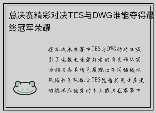 总决赛精彩对决TES与DWG谁能夺得最终冠军荣耀