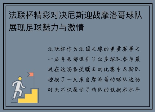 法联杯精彩对决尼斯迎战摩洛哥球队展现足球魅力与激情