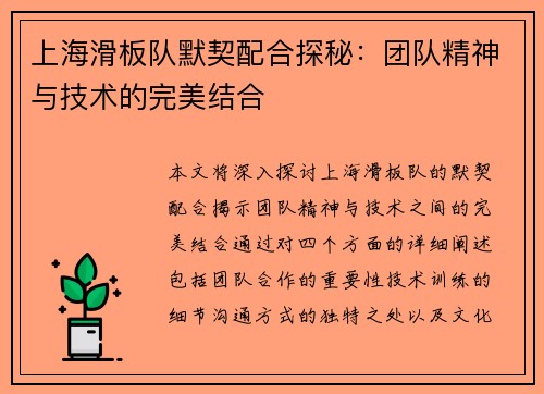 上海滑板队默契配合探秘：团队精神与技术的完美结合