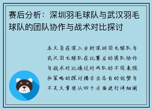 赛后分析：深圳羽毛球队与武汉羽毛球队的团队协作与战术对比探讨