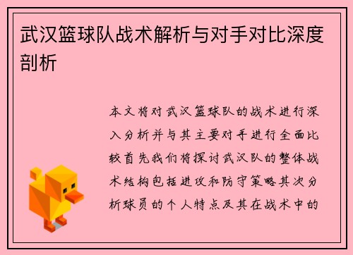 武汉篮球队战术解析与对手对比深度剖析