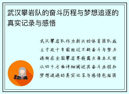 武汉攀岩队的奋斗历程与梦想追逐的真实记录与感悟